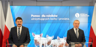 Pomoc dla rolników utrzymujących lochy i prosięta