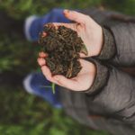 Rolnicy mają poważny problem. Dlaczego wapnowanie jest tak ważne?