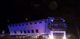 Ciężarówka z drobiem wpadła do rowu i zablokowała drogę