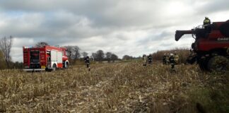 Pożar kombajnu na polu kukurydzy
