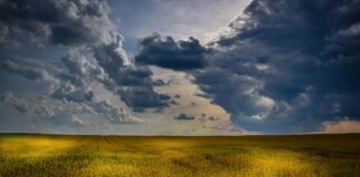 Porozumienia w sprawie ważnych dla sektora rolnictwa kwestii