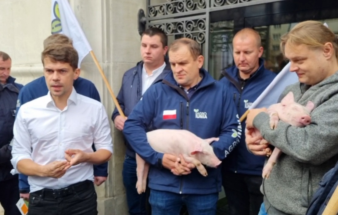 AGROunia oddaje prosiaki pod opiekę ministra rolnictwa