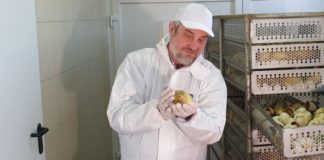 Ardanowski zachęca do zakładania przydomowych hodowli gęsi