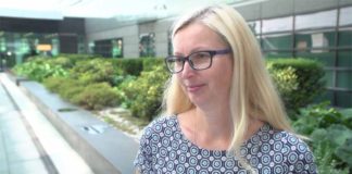 ARiMR: Producenci świń i tytoniu mogą się ubiegać o wsparcie