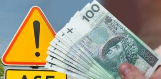 100 tysięcy złotych na ochronę przed ASF. Niebawem start naboru