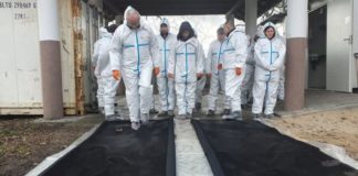 Wielkopolska: do końca kwietnia myśliwi mają odstrzelić 5 tys. dzików