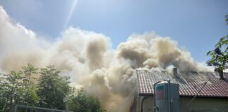 Pożar chlewni. Spłonęła stacja pomiaru parametrów i laboratorium