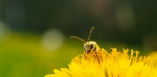 Podsumowanie ostatnich wydarzeń w rolnictwie i agrobiznesie (23.01.- 27.01.2023)