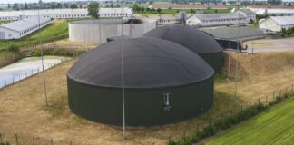 „Energia dla Wsi”: Dotacje na OZE dostępne także dla młodych spółek