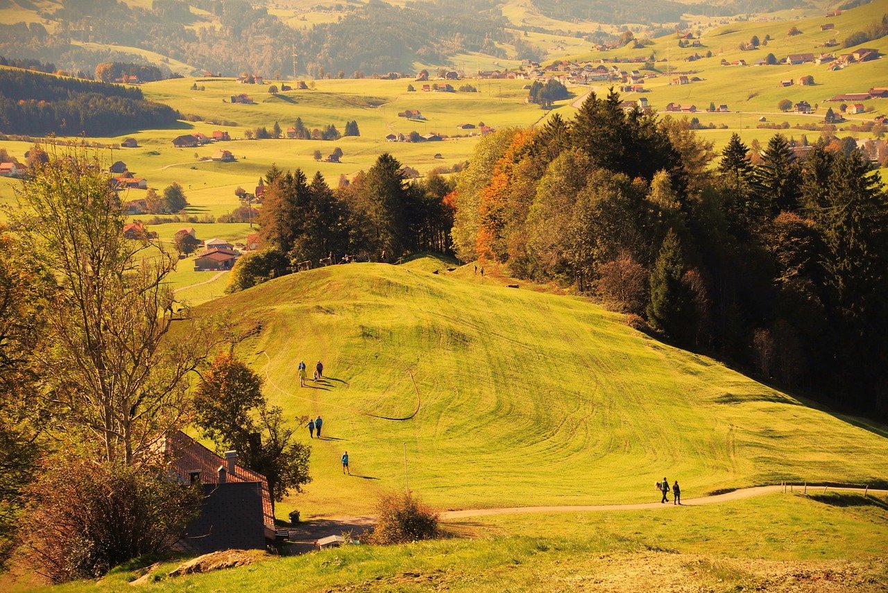 Resort rolnictwa o kryteriach uznawania gruntów pod uprawę