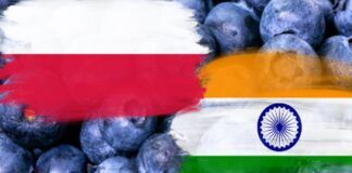 Rynek Indii otwarty dla polskiej borówki