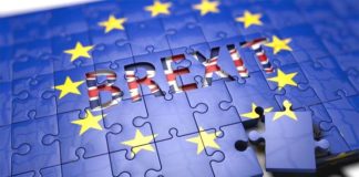W jaki sposób brexit wpłynie na polskich sadowników?