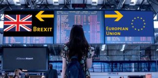 Twardy brexit: jak będzie wyglądał obrót towarami roślinnymi z Wielką Brytanią?