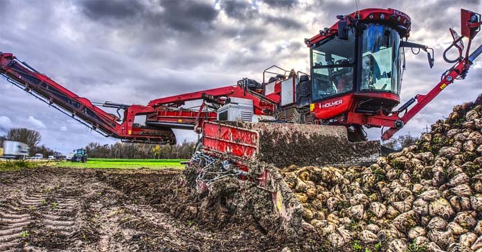 KSC uruchamia program pomocowy dla Plantatorów buraka cukrowego