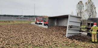 Buraki na drodze. 20-latek nie zapanował nad ciężarówką