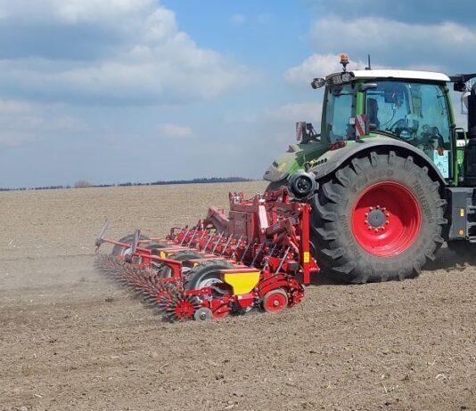 Sezon buraczany zaczyna się nerwowo. Plantacje pod presją pogody i szkodników