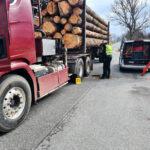 Ciężarówka przeładowana o 12 ton. Transport drewna zatrzymany