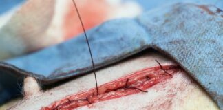 KRIR nie zgadza się na podwyższenie stawek opłat weterynaryjnych