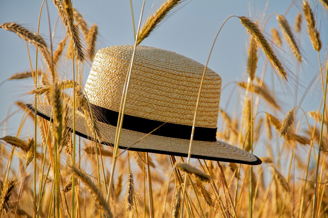 Podsumowanie ostatnich wydarzeń w rolnictwie i agrobiznesie (27.06.-01.07.2022)