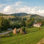 Unia Europejska zaostrza regulacje: rolnicy ostrzegają przed kryzysem