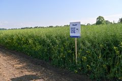 Jesienne wyzwania w uprawie rzepaku: Kompleksowe rozwiązania biostymulacyjne i żywieniowe