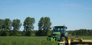 Półmetek WPR: miliony wniosków, miliardy wypłat i nowe nabory na horyzoncie