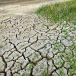 Ubezpieczenie suszy w Generali Agro – dopłata z budżetu państwa w wysokości do 65 procent