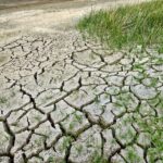 Aplikacja suszowa po 20 lipca to nieporozumienie i dyskryminacja niektórych rolników!
