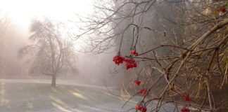 Nagłe załamanie pogody w Polsce! Wiosna zniknęła, wraca chłód i… śnieg