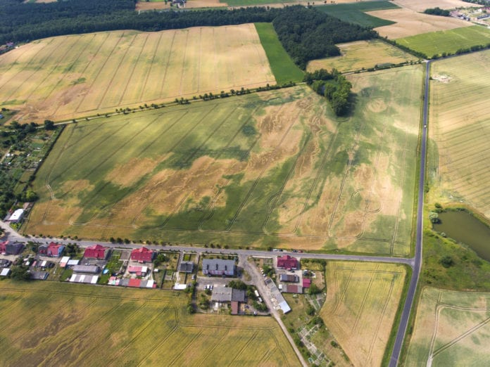 Dane satelitarne, żywność, plony, susza