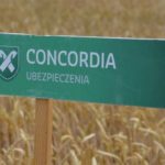 Już ponad 10 tys. pracowników zostało ubezpieczonych w Generali od zachorowania na Covid-19