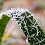 Spadki temperatury niższe niż w lutym! Nad Polskę wkroczył mroźny antycyklon
