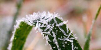 Spadki temperatury niższe niż w lutym! Nad Polskę wkroczył mroźny antycyklon