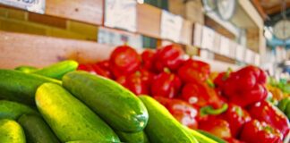 Susza, ceny nawozów i paliw, wojna, brak pracowników to dwukrotnie wyższe koszty produkcji żywności