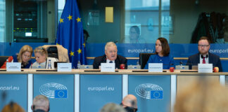 Minister rolnictwa zaprezentował priorytety polskiej prezydencji w Parlamencie Europejskim