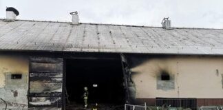 Pożar na fermie drobiu. Spłonęło 40 tysięcy kurcząt!
