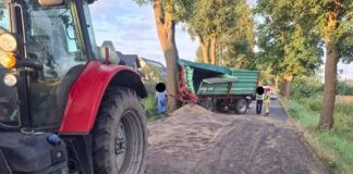 Rozsypany rzepak na drodze
