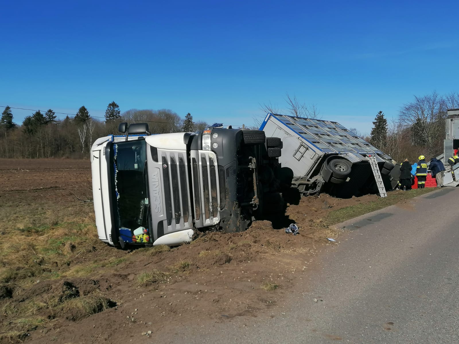 Wypadek ciężarówki przewożącej prawie tysiąc prosiąt!