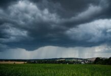 Jesień uderza w lipcu. Chłód, deszcz i wiatr nie odpuszczą. Na poprawę pogody trzeba poczekać