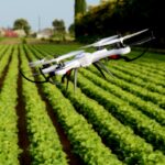 Cyfrowa rewolucja na wsi: rząd wyznacza nowe priorytety do 2035 roku