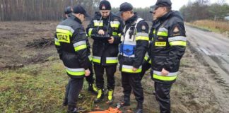 Drony w walce z ASF. Strażacy szukają dzików