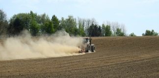 Susza: rolnik sam oszacuje starty za pomocą aplikacji!