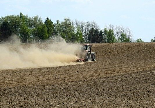 Straty na polu jedno, wyliczenia systemu drugie. Komisje nie wrócą