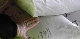PIORiN kontroluje materiał siewny importowany z państw trzecich