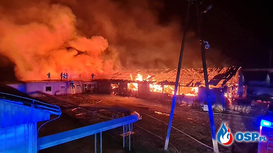 Pożar na fermie drobiu. Akcja gaśnicza trwała całą noc.
