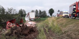 Scania załadowana nawozami w rowie