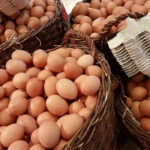 RYNEK JAJ SPOŻYWCZYCH NOTOWANIA CEN ZA OKRES: 16 – 22.11.2020 r.