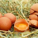 Analitycy ostrzegają: brakuje jaj, ceny pójdą w górę