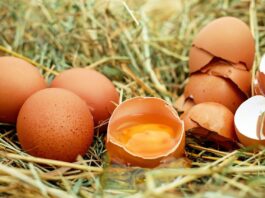 Rynek się rozjeżdża! Taniejący drób kontra drogie jaja – co dalej z cenami?