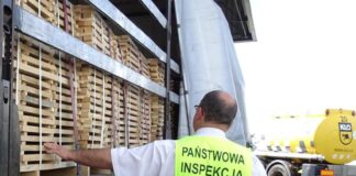 Eksport pod lupą PIORiN. Gdzie trafiają polskie jabłka, zboża i ziemniaki?